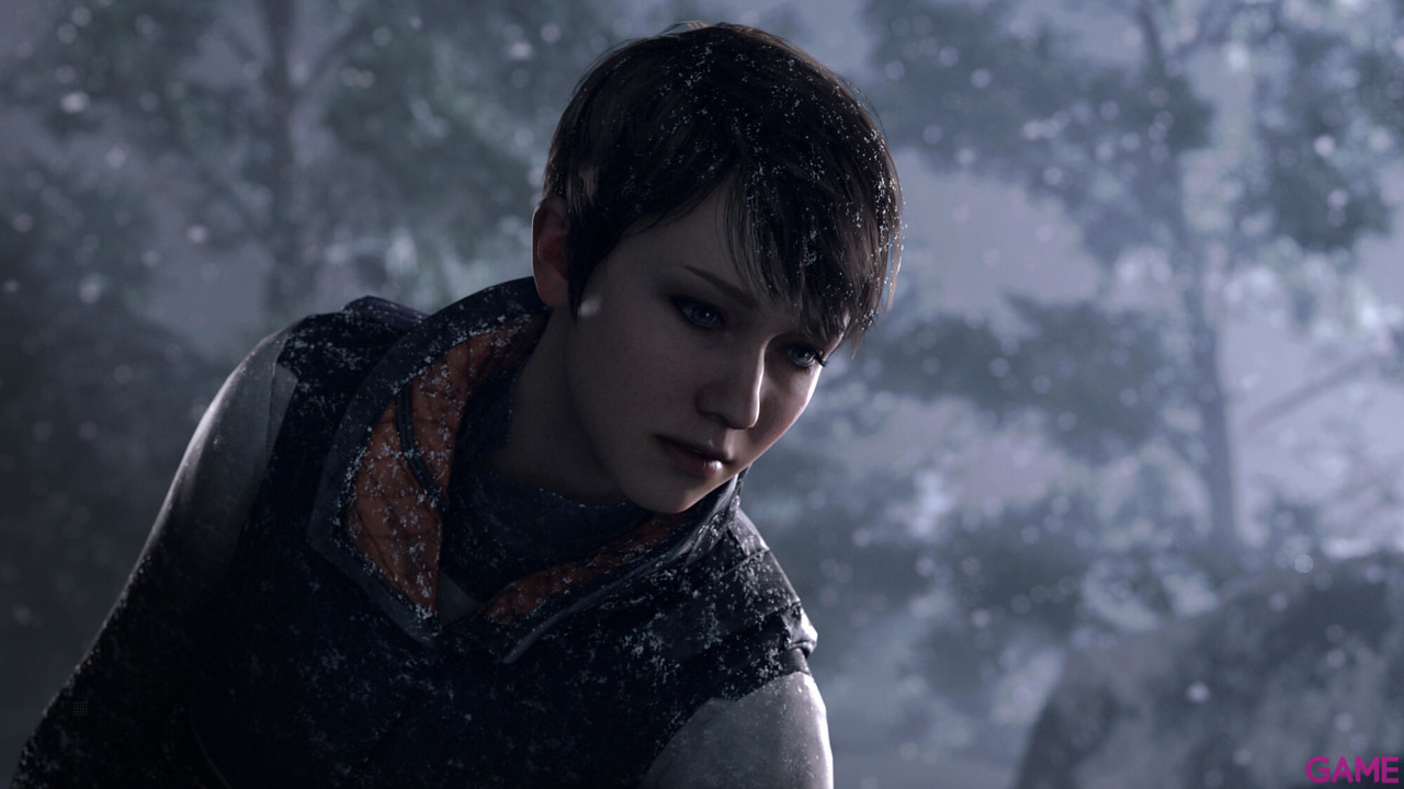 Detroit: Become Human - Steam Retail Edition-47