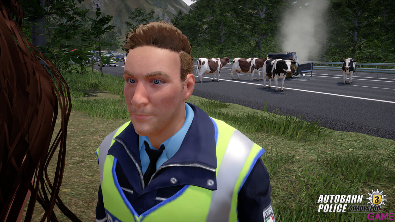 Autobahn Police Simulator 3-12