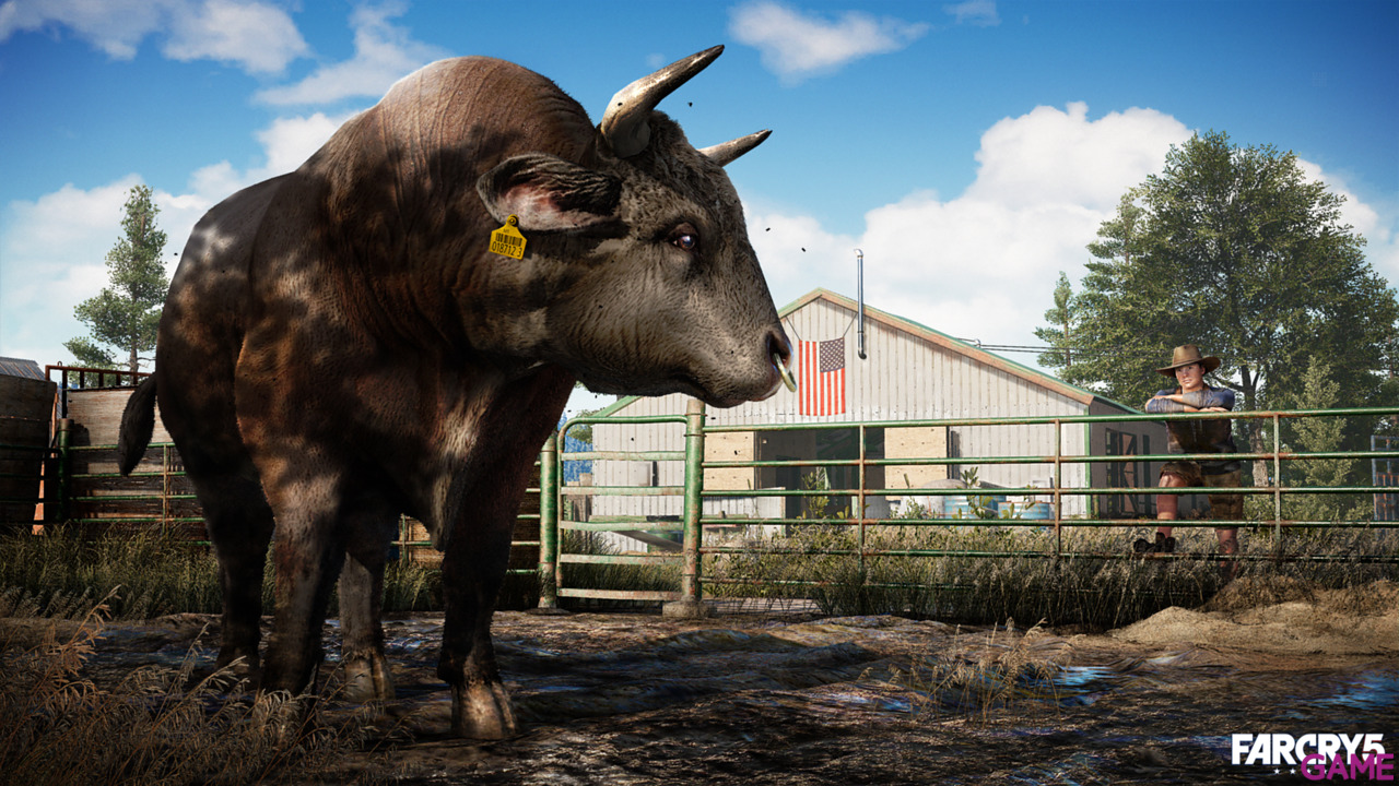 Far Cry 4 + Far cry 5-3